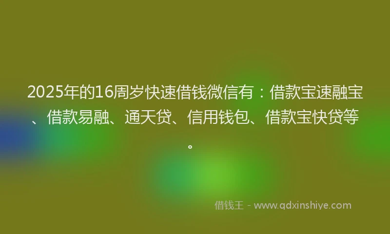 2025年的16周岁快速借钱微信有：借款宝速融宝、借款易融、通天贷、信用钱包、借款宝快贷等。