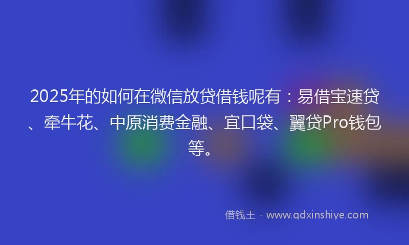 2025年的如何在微信放贷借钱呢有：易借宝速贷、牵牛花、中原消费金融、宜口袋、翼贷Pro钱包等。