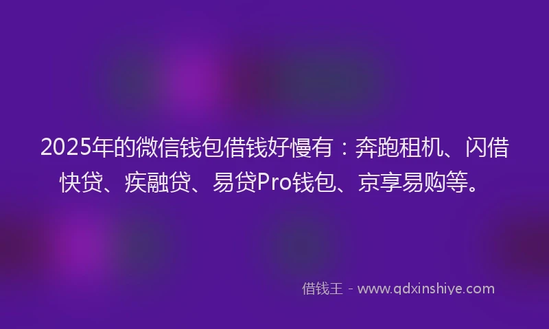 2025年的微信钱包借钱好慢有：奔跑租机、闪借快贷、疾融贷、易贷Pro钱包、京享易购等。