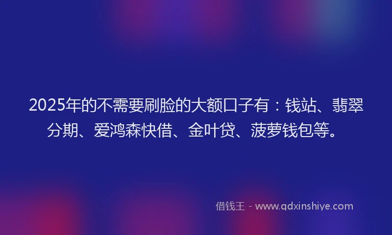 2025年的不需要刷脸的大额口子有：钱站、翡翠分期、爱鸿森快借、金叶贷、菠萝钱包等。