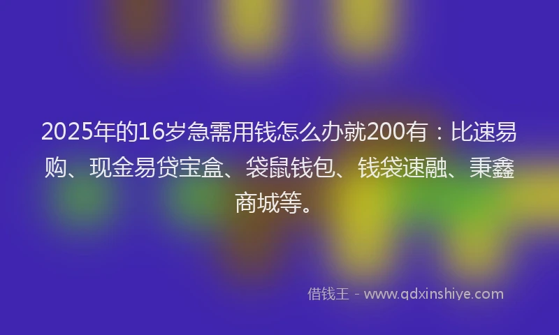 2025年的16岁急需用钱怎么办就200有：比速易购、现金易贷宝盒、袋鼠钱包、钱袋速融、秉鑫商城等。