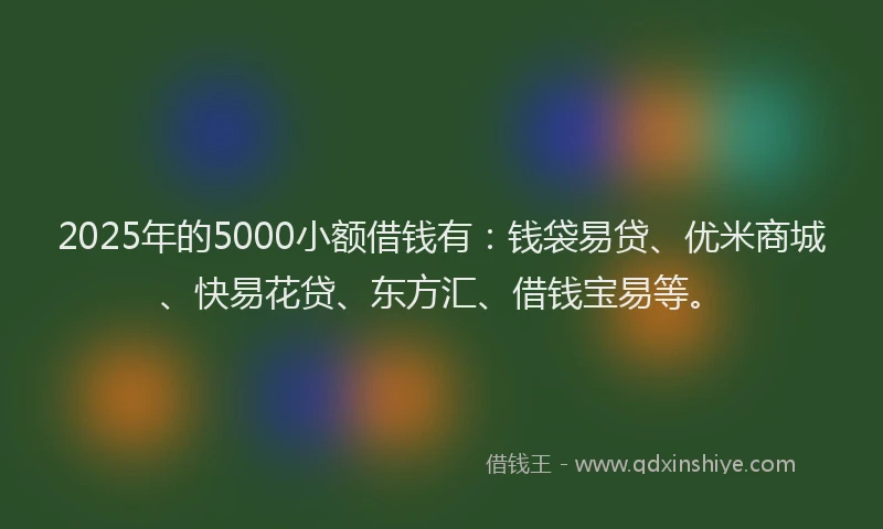2025年的5000小额借钱有：钱袋易贷、优米商城、快易花贷、东方汇、借钱宝易等。
