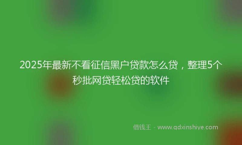 2025年最新不看征信黑户贷款怎么贷，整理5个秒批网贷轻松贷的软件
