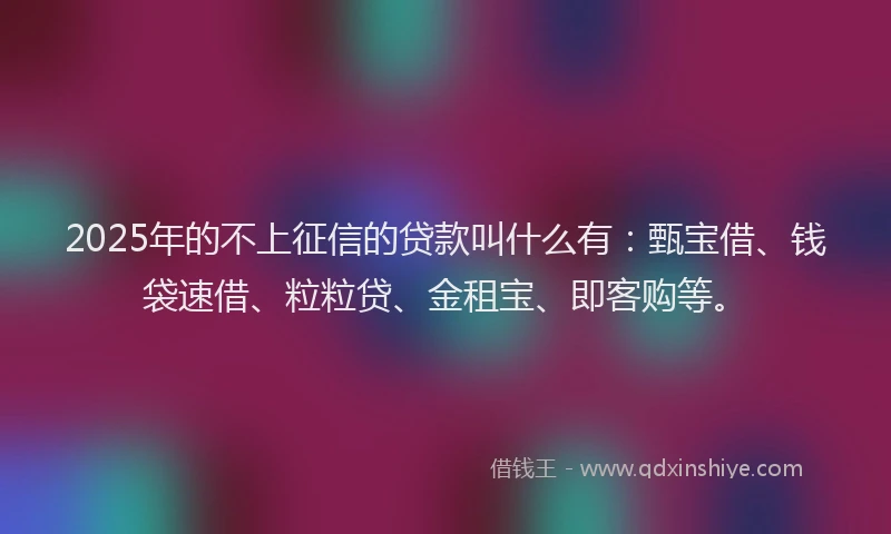 2025年的不上征信的贷款叫什么有：甄宝借、钱袋速借、粒粒贷、金租宝、即客购等。