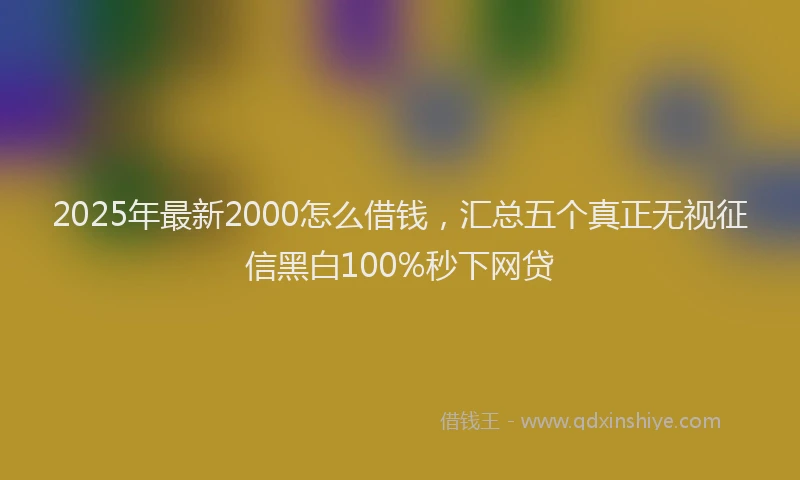 2025年最新2000怎么借钱，汇总五个真正无视征信黑白100%秒下网贷
