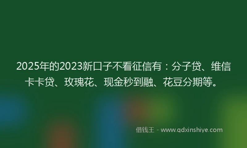 2025年的2023新口子不看征信有：分子贷、维信卡卡贷、玫瑰花、现金秒到融、花豆分期等。