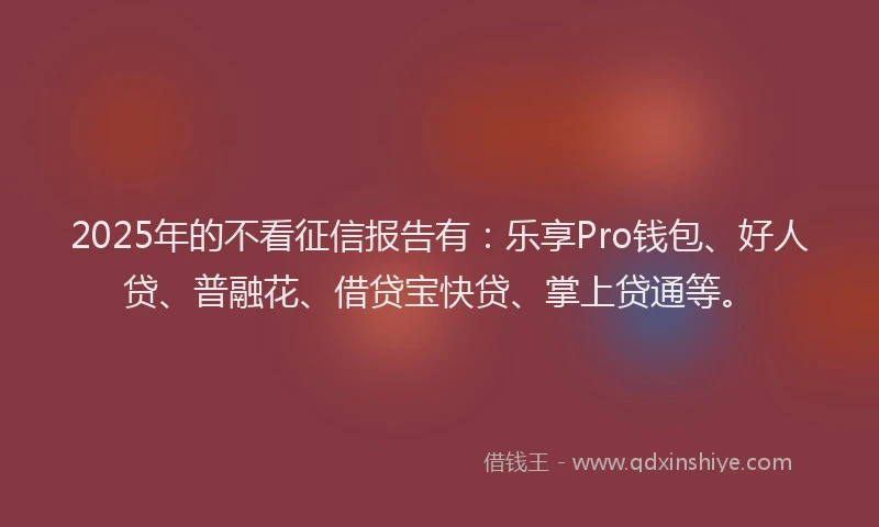 2025年的不看征信报告有：乐享Pro钱包、好人贷、普融花、借贷宝快贷、掌上贷通等。