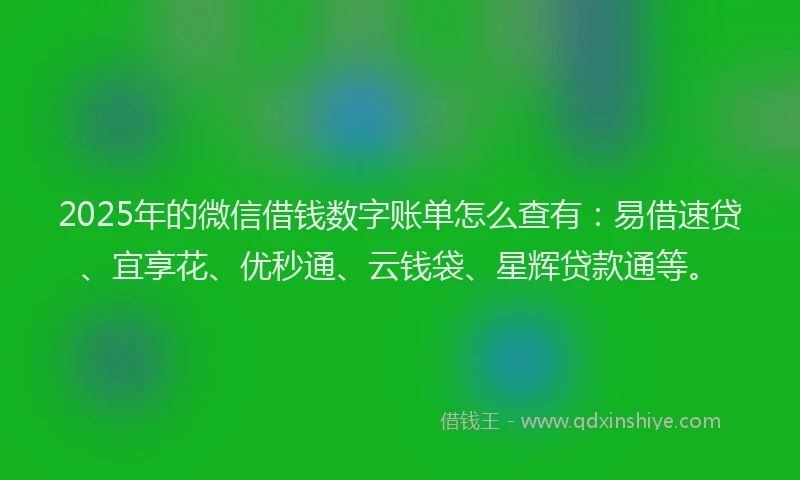 2025年的微信借钱数字账单怎么查有：易借速贷、宜享花、优秒通、云钱袋、星辉贷款通等。