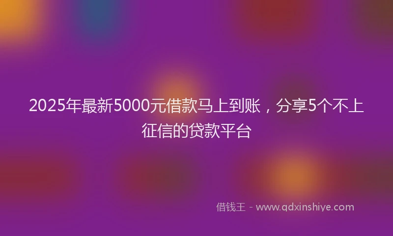 2025年最新5000元借款马上到账，分享5个不上征信的贷款平台