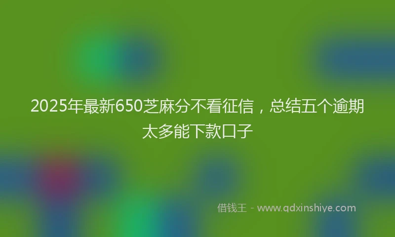 2025年最新650芝麻分不看征信，总结五个逾期太多能下款口子