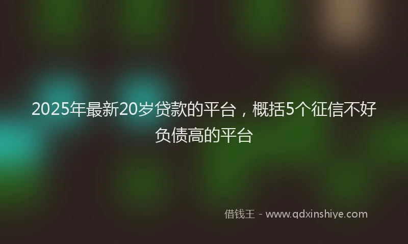 2025年最新20岁贷款的平台，概括5个征信不好负债高的平台