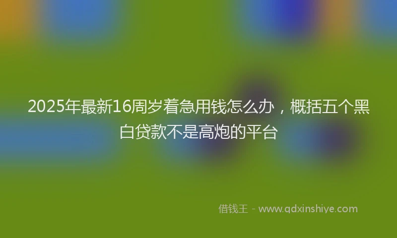 2025年最新16周岁着急用钱怎么办，概括五个黑白贷款不是高炮的平台