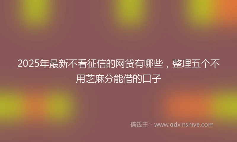 2025年最新不看征信的网贷有哪些，整理五个不用芝麻分能借的口子