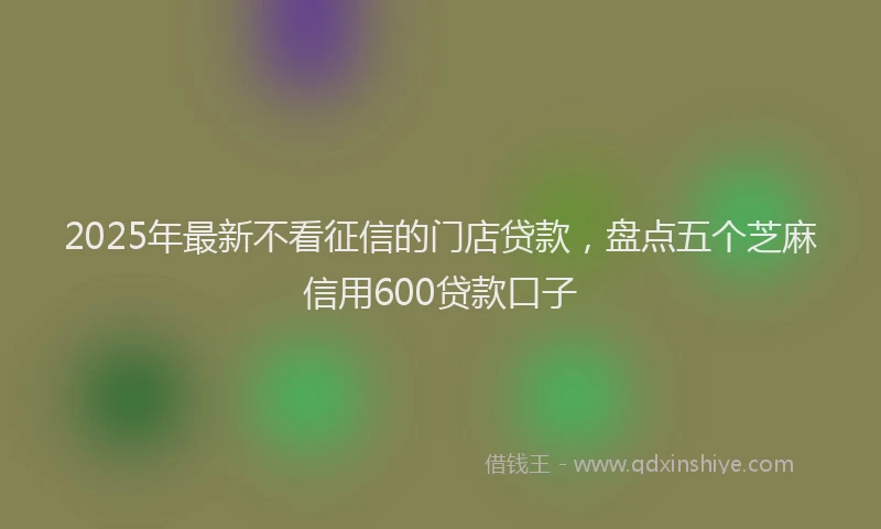 2025年最新不看征信的门店贷款，盘点五个芝麻信用600贷款口子