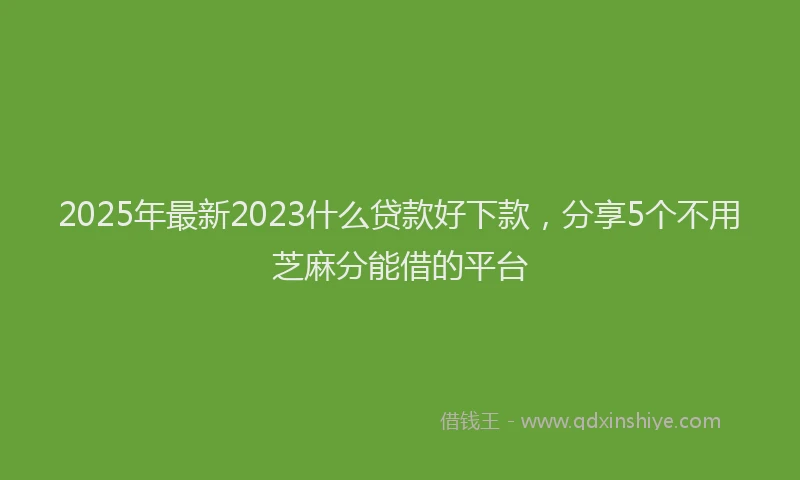 2025年最新2023什么贷款好下款，分享5个不用芝麻分能借的平台