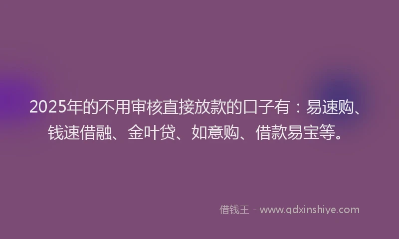 2025年的不用审核直接放款的口子有：易速购、钱速借融、金叶贷、如意购、借款易宝等。