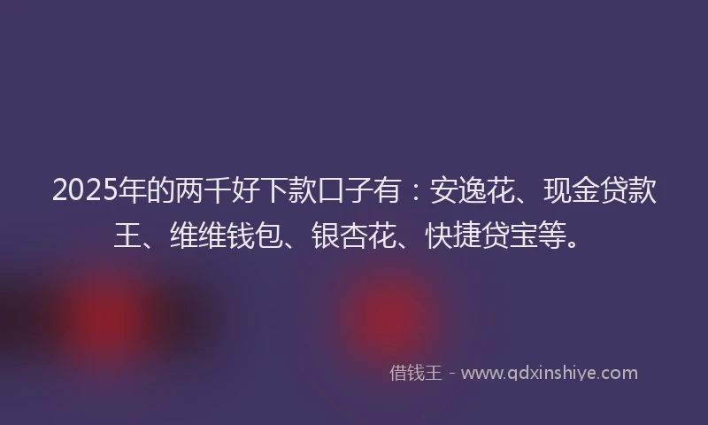 2025年的两千好下款口子有：安逸花、现金贷款王、维维钱包、银杏花、快捷贷宝等。