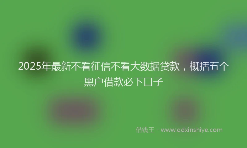 2025年最新不看征信不看大数据贷款，概括五个黑户借款必下口子