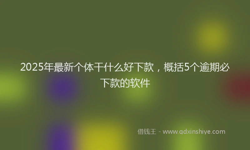 2025年最新个体干什么好下款，概括5个逾期必下款的软件