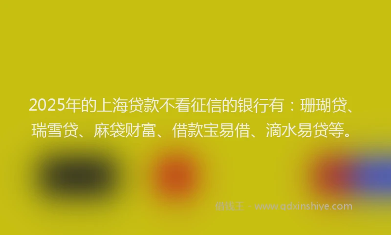 2025年的上海贷款不看征信的银行有：珊瑚贷、瑞雪贷、麻袋财富、借款宝易借、滴水易贷等。