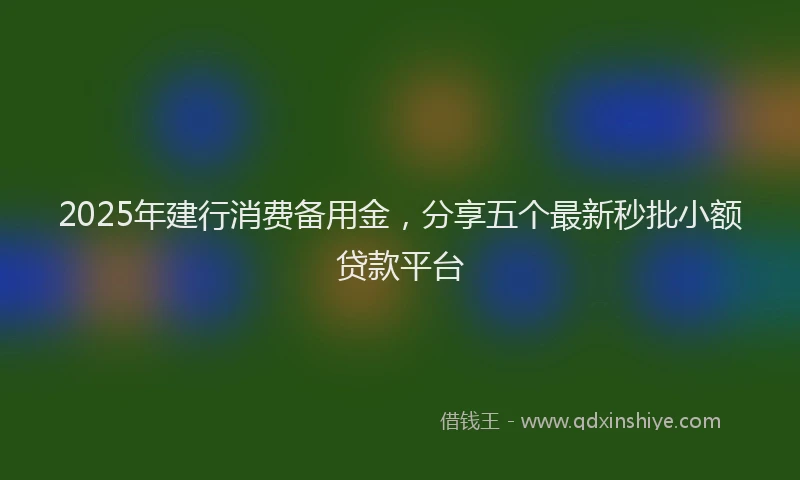 2025年建行消费备用金，分享五个最新秒批小额贷款平台