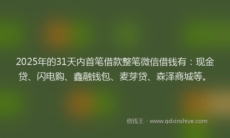 2025年的31天内首笔借款整笔微信借钱有：现金贷、闪电购、鑫融钱包、麦芽贷、森泽商城等。