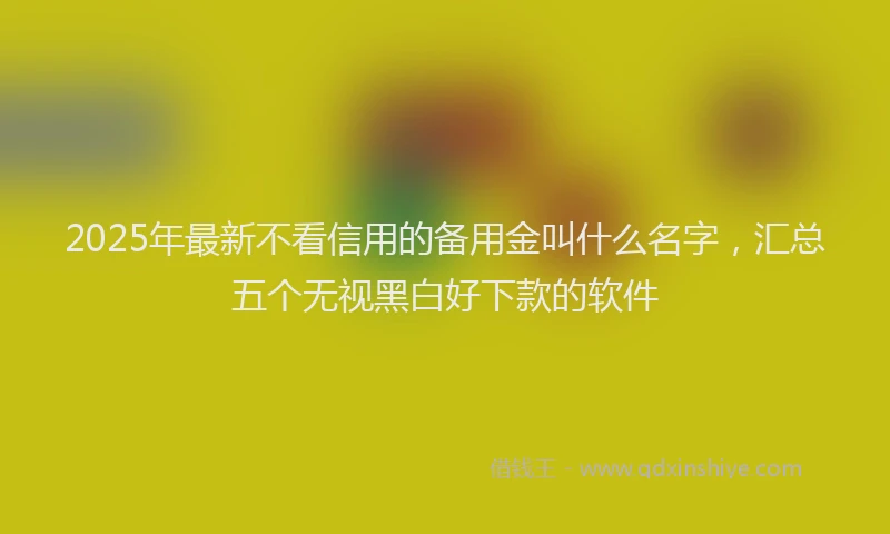 2025年最新不看信用的备用金叫什么名字，汇总五个无视黑白好下款的软件