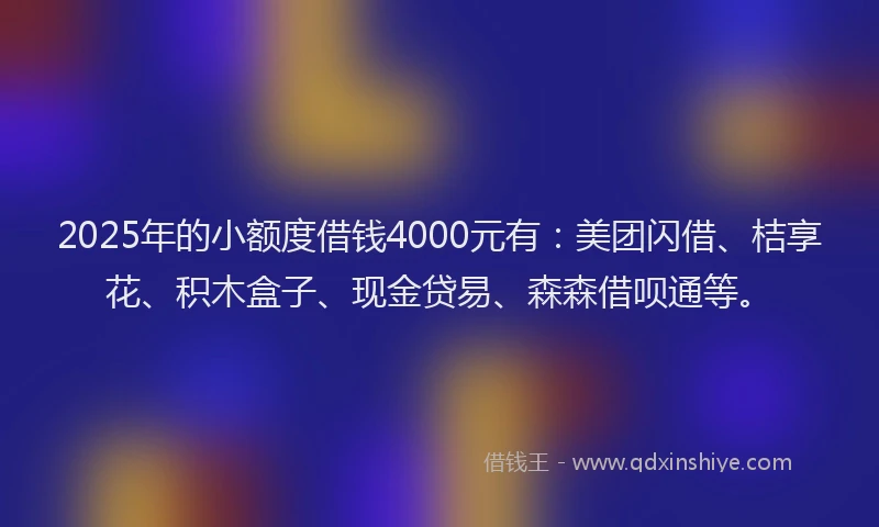 2025年的小额度借钱4000元有：美团闪借、桔享花、积木盒子、现金贷易、森森借呗通等。