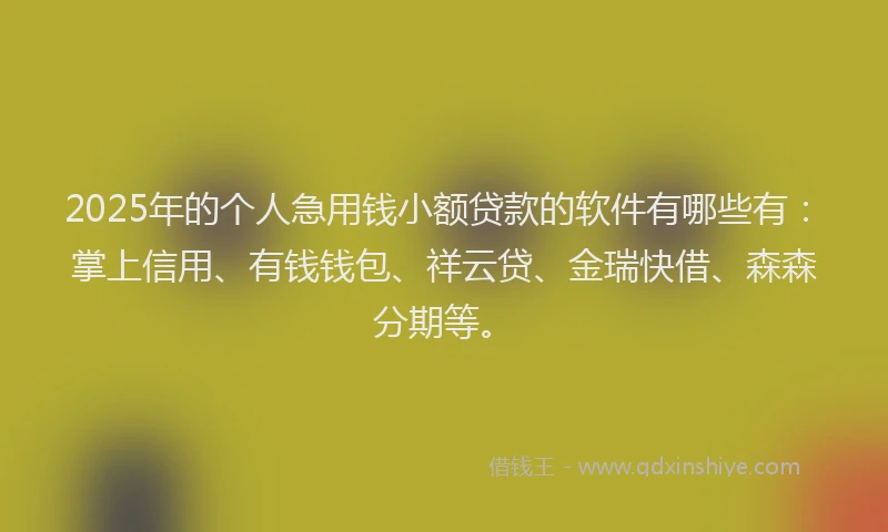 2025年的个人急用钱小额贷款的软件有哪些有：掌上信用、有钱钱包、祥云贷、金瑞快借、森森分期等。