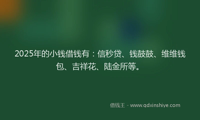 2025年的小钱借钱有：信秒贷、钱鼓鼓、维维钱包、吉祥花、陆金所等。