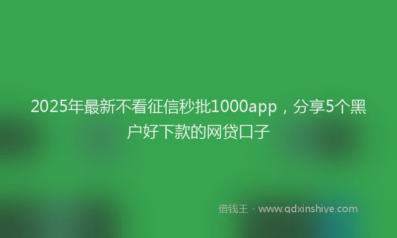 2025年最新不看征信秒批1000app，分享5个黑户好下款的网贷口子