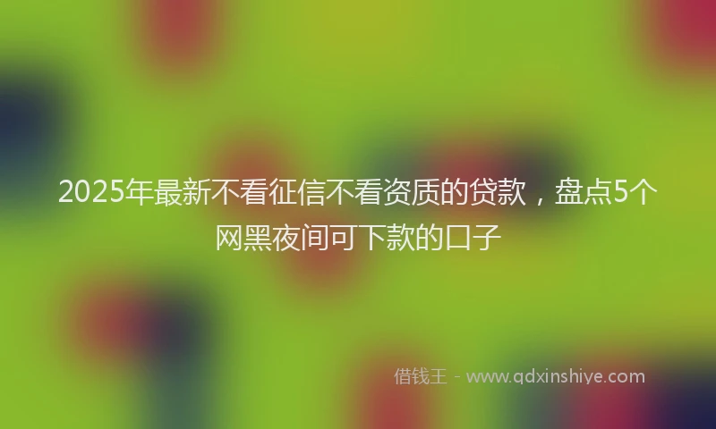 2025年最新不看征信不看资质的贷款，盘点5个网黑夜间可下款的口子