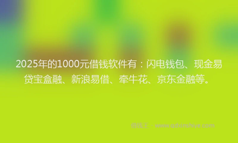 2025年的1000元借钱软件有：闪电钱包、现金易贷宝盒融、新浪易借、牵牛花、京东金融等。