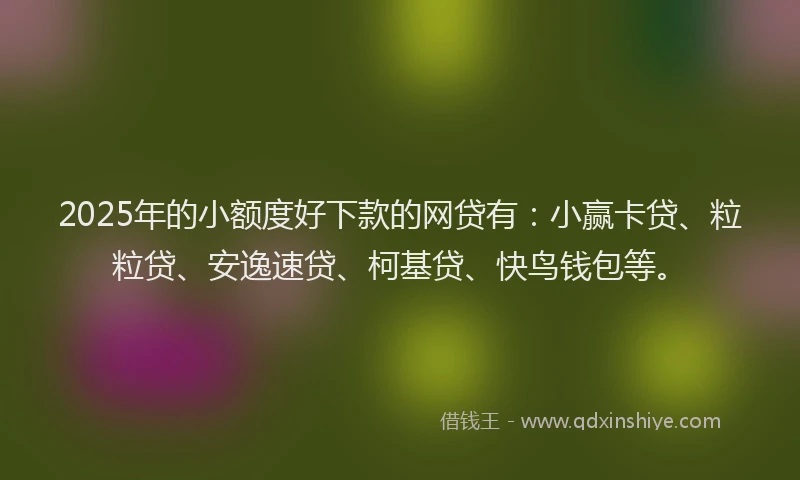 2025年的小额度好下款的网贷有：小赢卡贷、粒粒贷、安逸速贷、柯基贷、快鸟钱包等。