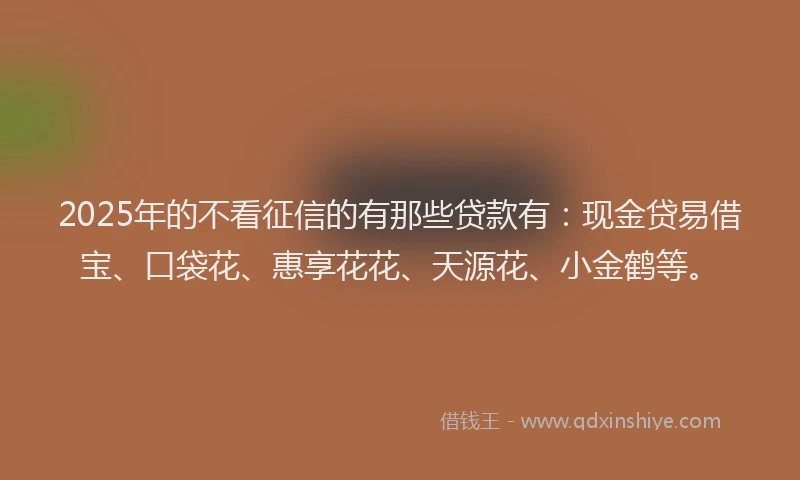 2025年的不看征信的有那些贷款有：现金贷易借宝、口袋花、惠享花花、天源花、小金鹤等。