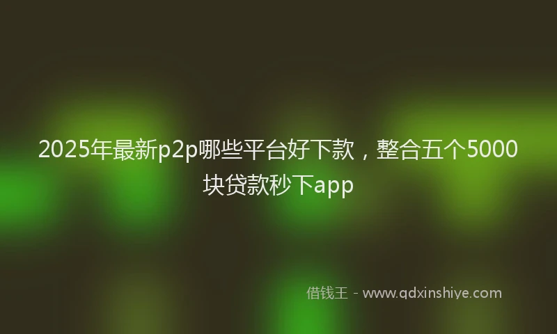 2025年最新p2p哪些平台好下款，整合五个5000块贷款秒下app