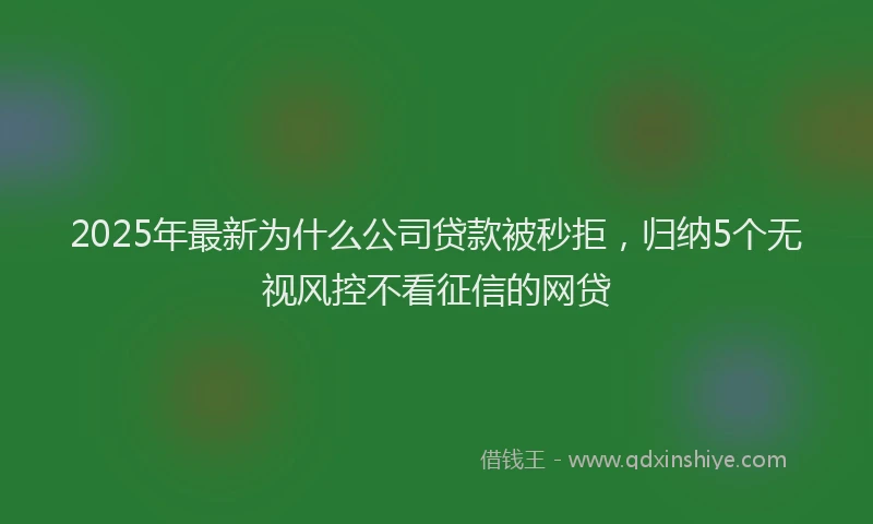 2025年最新为什么公司贷款被秒拒，归纳5个无视风控不看征信的网贷