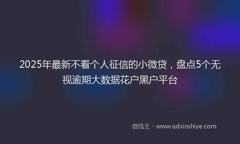 2025年最新不看个人征信的小微贷，盘点5个无视逾期大数据花户黑户平台