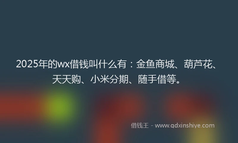 2025年的wx借钱叫什么有：金鱼商城、葫芦花、天天购、小米分期、随手借等。