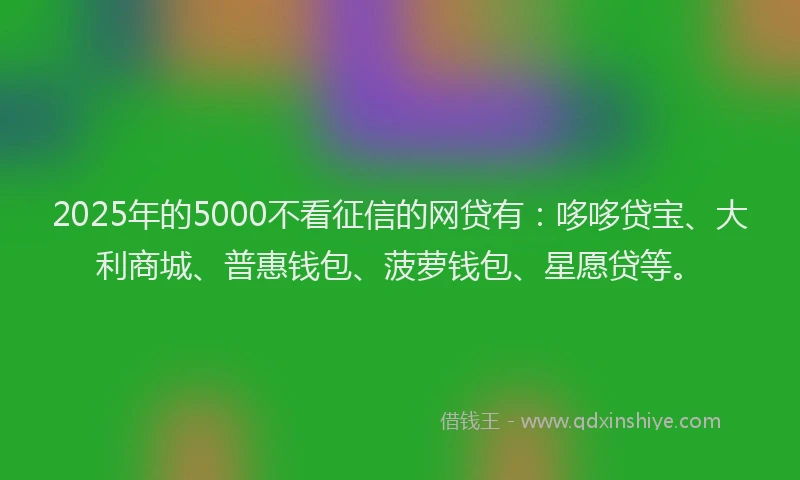 2025年的5000不看征信的网贷有：哆哆贷宝、大利商城、普惠钱包、菠萝钱包、星愿贷等。