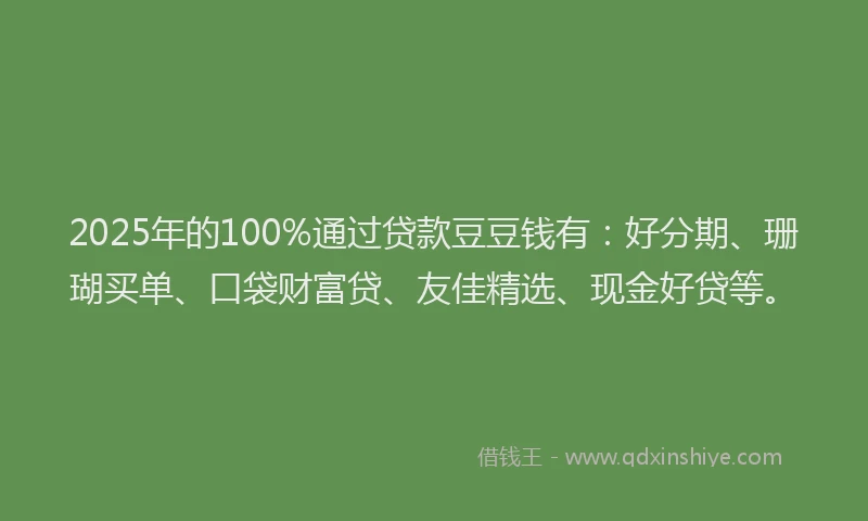 2025年的100%通过贷款豆豆钱有：好分期、珊瑚买单、口袋财富贷、友佳精选、现金好贷等。