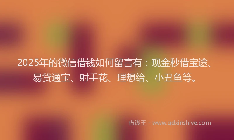 2025年的微信借钱如何留言有：现金秒借宝途、易贷通宝、射手花、理想给、小丑鱼等。