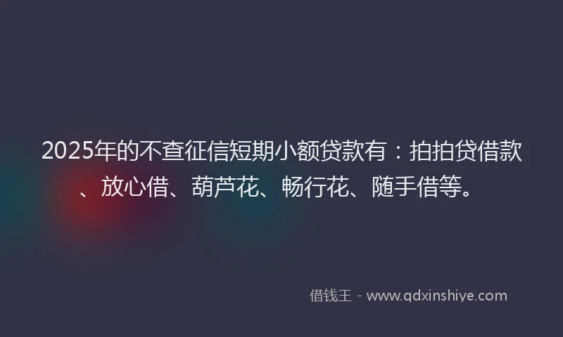 2025年的不查征信短期小额贷款有：拍拍贷借款、放心借、葫芦花、畅行花、随手借等。