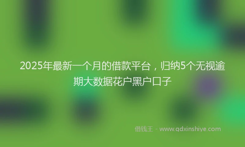 2025年最新一个月的借款平台，归纳5个无视逾期大数据花户黑户口子