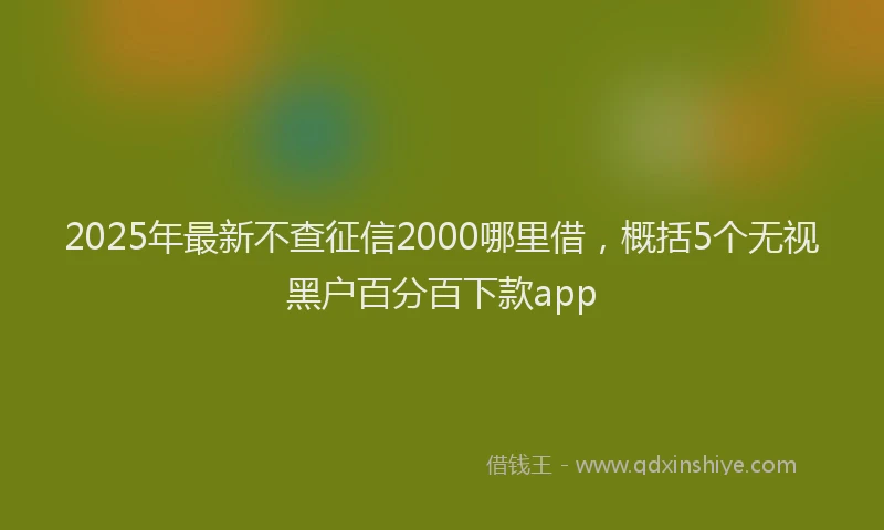 2025年最新不查征信2000哪里借，概括5个无视黑户百分百下款app