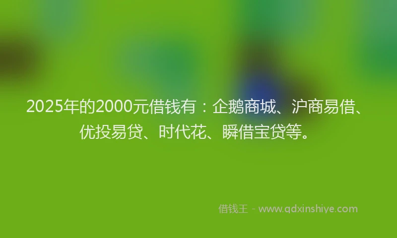 2025年的2000元借钱有：企鹅商城、沪商易借、优投易贷、时代花、瞬借宝贷等。