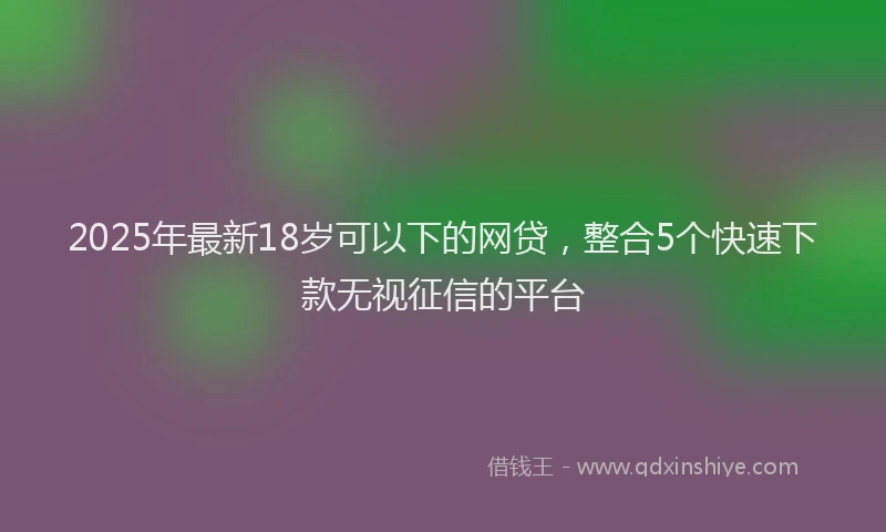 2025年最新18岁可以下的网贷，整合5个快速下款无视征信的平台