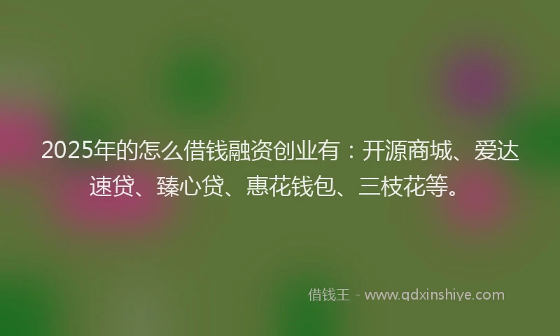 2025年的怎么借钱融资创业有：开源商城、爱达速贷、臻心贷、惠花钱包、三枝花等。