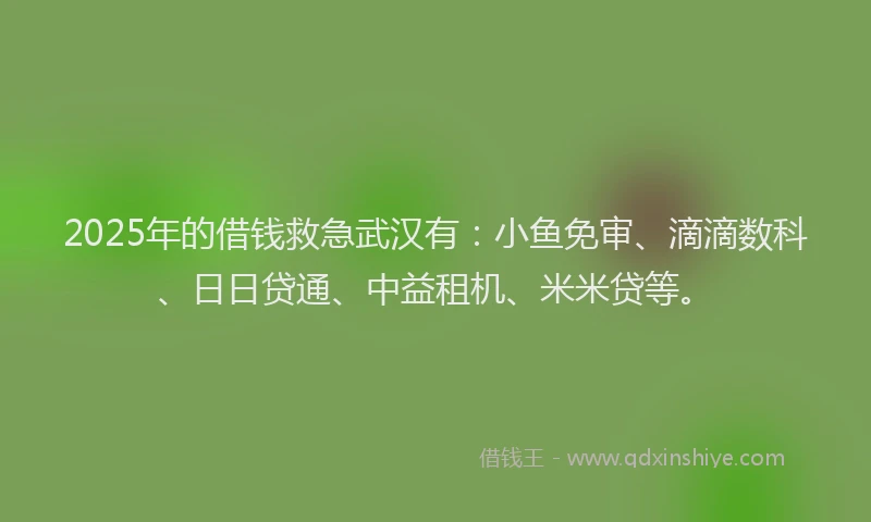 2025年的借钱救急武汉有：小鱼免审、滴滴数科、日日贷通、中益租机、米米贷等。