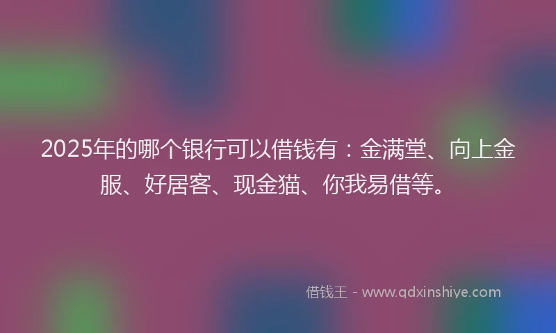 2025年的哪个银行可以借钱有：金满堂、向上金服、好居客、现金猫、你我易借等。